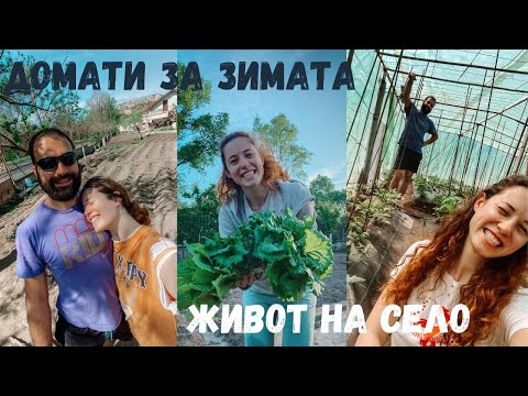 Видео: Живот на село