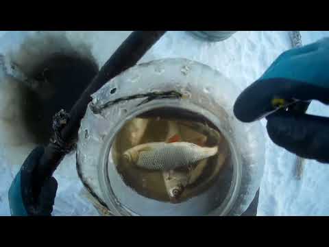Видео: Проверка крючков на налима 27 01 2024