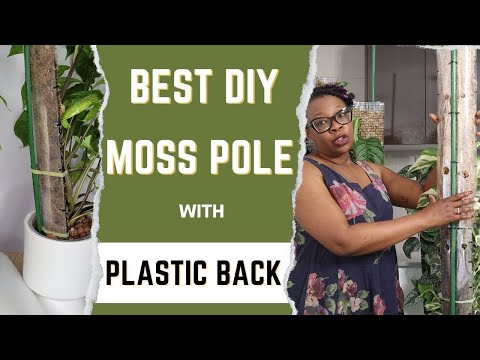 Видео: Сделайте шест из мха на пластиковой подложке, который останется влажным ДОЛЬШЕ!