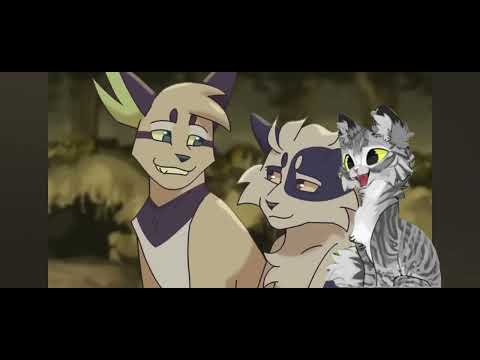 Видео: Что было бы, если котята кленовницы выжили? Пожалуйста, посмотрите видео