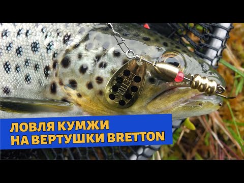 Видео: Ловля кумжи на вращающиеся блесны