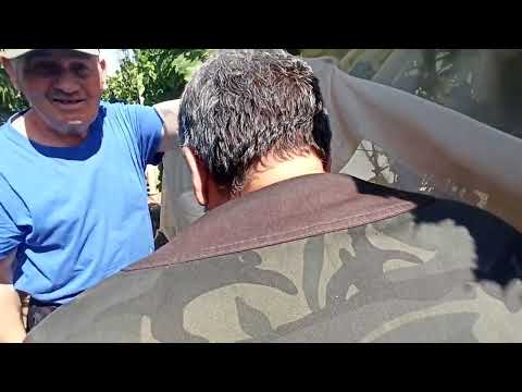 Видео: На гости при Най-прекрасния колекционер на  десертно Грозде в България- Георги Благов от село Полето