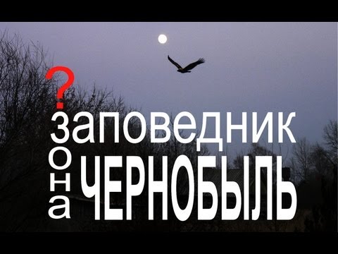 Видео: Чернобыль. Заповедник будущего? | Film Studio Aves