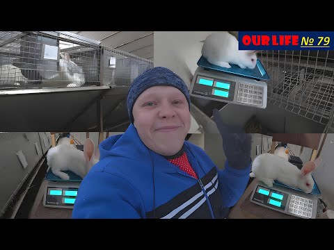 Видео: Холодная Реальность.Опыт теплого убежища и нового корма. Скважина в -34° Cold Reality