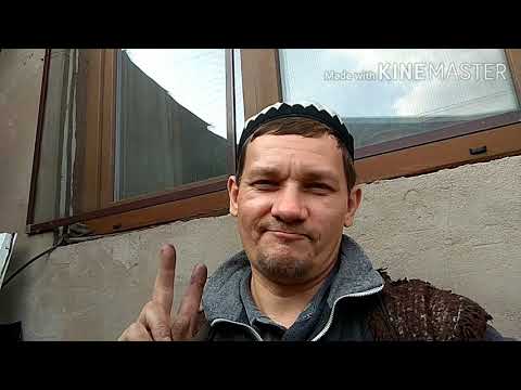 Видео: VW Touareg GP  Как Поставить Зеркало Бокового Вида  правильно ®️