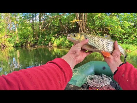 Видео: Ещё один сплав по красивой реке