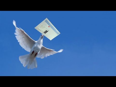 Видео: "Письма на небо". Александр Райн.