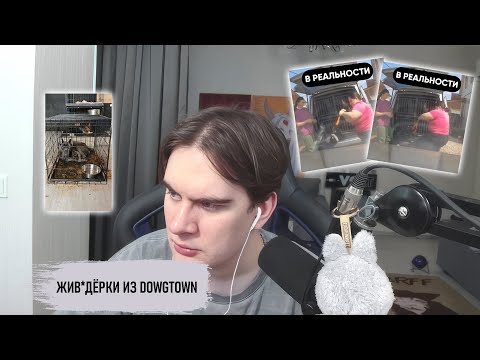 Видео: БРАТИШКИН ПРО ЖИВ*ДЁРОК ИЗ DOWGTOWN