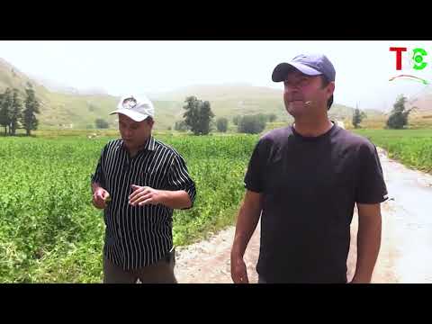 Видео: Канаск111