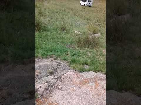 Видео: Едрий,Мади үңгіры))