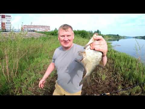 Видео: Вятка, рыбалка на донки и трофей от Андрея.🦈