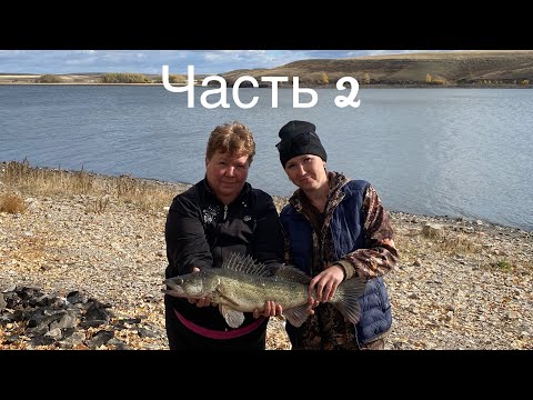 Видео: Случайный судак🐟а может и не случайный🤭часть 2