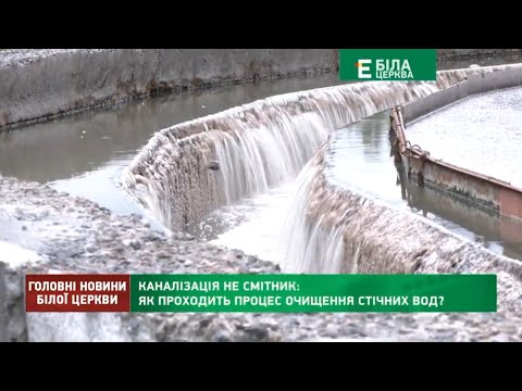 Видео: Каналізація не смітник: як проходить процес очищення стічних вод?