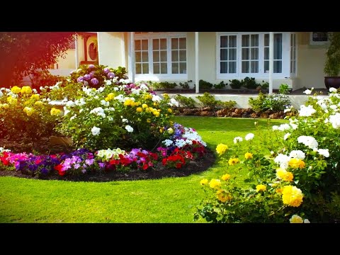 Видео: Примеры оригинальных решений в ландшафтном дизайне / Original ideas for arranging a garden