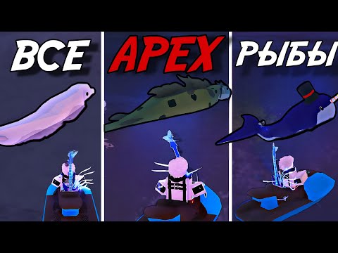 Видео: ВЫЛОВИХ ВСЕХ ВОЗМОЖНЫХ *APEX* РЫБ В FISCH ROBLOX!