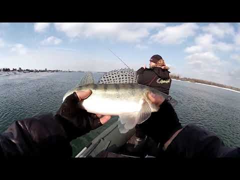 Видео: Открытие  2021 ОБЬ