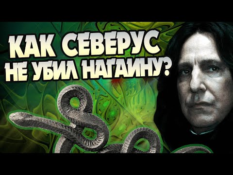 Видео: Почему Северус Снейп не уничтожил Нагайну?