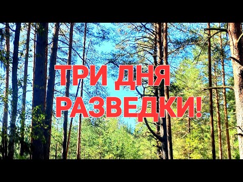 Видео: КОП-РАЗВЕДКА НА ДРЕВНИХ МЕСТАХ.