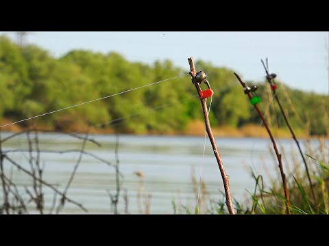 Видео: ВОТ ЭТО РЫБАЛКА НА ЗАКИДУШКИ! ЖИВЫЕ ЭМОЦИИ. Граница с Казахстаном. Закидушки на современный лад.