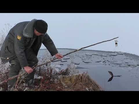 Видео: Рыбалка в ноябре, на лесном озере в Карелии. Уха на скандинавской свече.