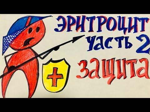 Видео: Эритроцит. Вечная борьба с агрессорами. Биохимия
