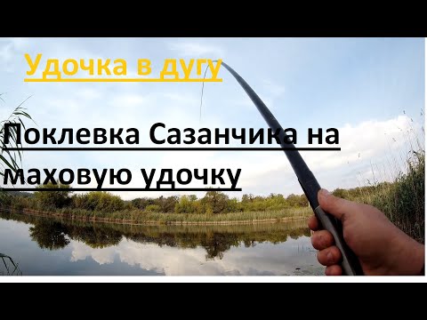 Видео: Осенний сазанчик)  Рыбалка на поплавок