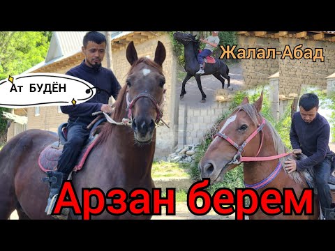 Видео: ЖАЛАЛ-АБАДДА ЖӨНДҮҮ АТТАР ЧЫКТЫ АЙБЕКТИН АТТАРЫ💥мая 2023 г.