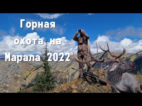 Видео: Горная охота на марала. Mountain hunting for Maral