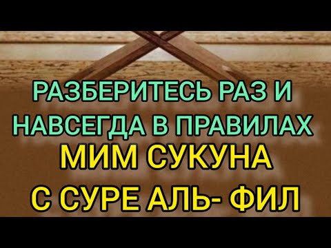 Видео: НЕ ЗНАЕТЕ КАК ПРАВИЛЬНО ЧИТАТЬ СУРУ АЛЬ- ФИЛ? ПОСМОТРИТЕ ВСЕ ПРАВИЛА, КОТОРЫЕ ЕСТЬ В ЭТОЙ СУРЕ.