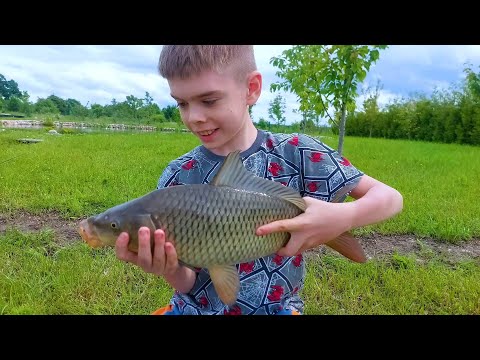 Видео: Домашняя рыбалка с диким исходом: Поймал — отпустил в озеро под Калининградом
