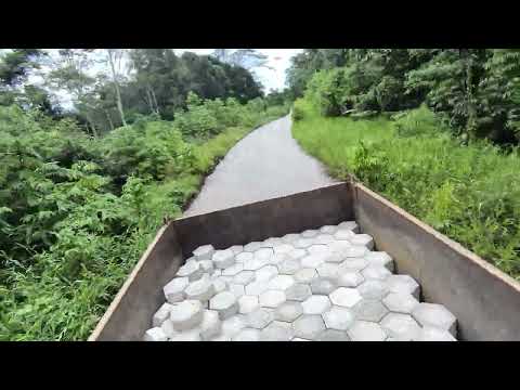 Видео: Автостопом по Папуа. День 2 / В кузове @Got1Try