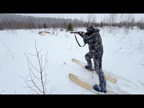 Видео: Живём в Таёжной Избе. Барсук в Афганском Казане. Охота Зимой!!!