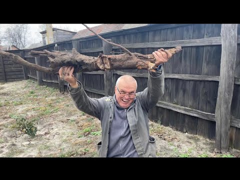 Видео: Один день из жизни Журавлевых! Не успел,не моя вина! Когда маме надо,работают все! На обед заработал