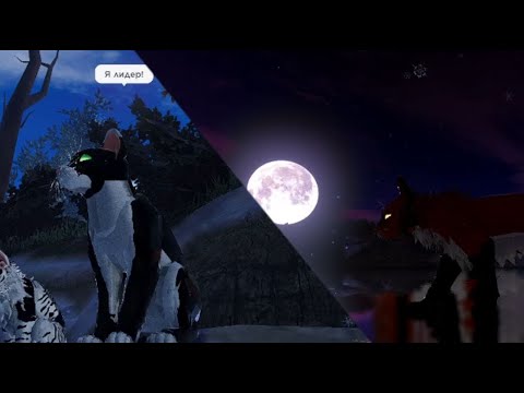 Видео: Кто такие СЬЮ И ЗОО? *Как понять что это они?*В КОТАХ ВОИТЕЛЯХ ROBLOX!