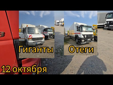Видео: Авторынок Бишкека на 12 октября.гиганты и отеги.