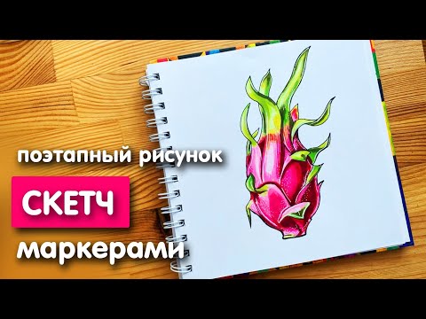 Видео: Рисунок скетч маркерами "Драгон фрукт" для скетчбука | Срисовка картинки для начинающих