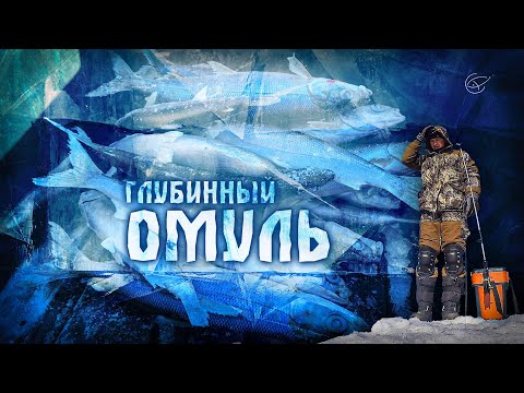 Видео: РАЗЛОВИЛИ БАЙКАЛЬСКОГО ОМУЛЯ  [Рыбалка в Сибири]