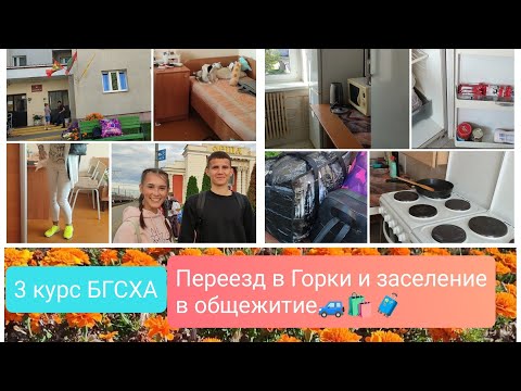 Видео: #влог #Переезд Маши в общежитие/Горки/3 курс БГСХА/помогаю перевезти вещи