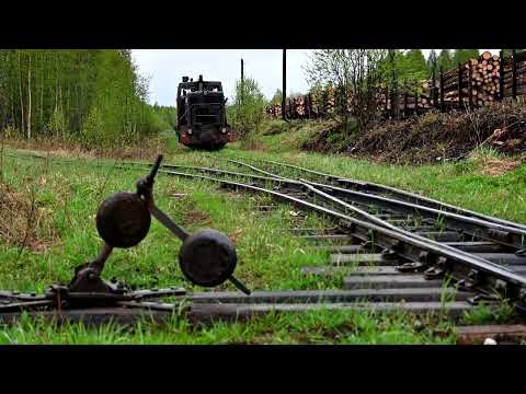 Видео: Белоручейская УЖД. Весна