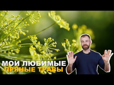 Видео: Пряные растения для здоровья и огорода.