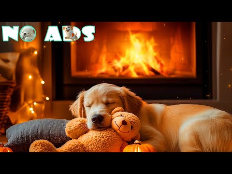Видео: 🌊 Музыка для снятия стресса у собак 🎵 3 часа лечебной музыки для собак 🐶 Звук камина