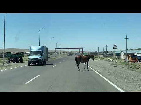 Видео: Добро пожаловать в Жанатас, 26 июня 2023 г.