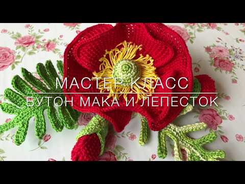 Видео: 😍 Мастер класс 😍 бутон и лист 🍃 🌺 мака Crochet flower pattern