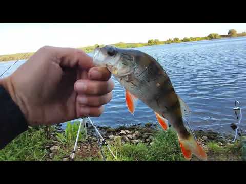 Видео: 8 ноября 2025 г.