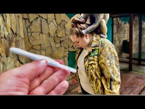 Видео: Мы вернулись проверить результаты теста и ВОТ ЧТО МЫ УВИДЕЛИ…