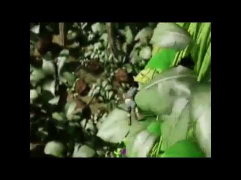 Видео: Цветочная страна