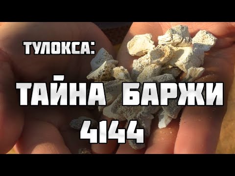 Видео: ПОЧЕМУ ЛАДОЖСКИЙ ПЛЯЖ ВЕСЬ УСЫПАН КОСТЯМИ? СТРАШНАЯ ТАЙНА ТУЛОКСИНСКОГО ДЕСАНТА