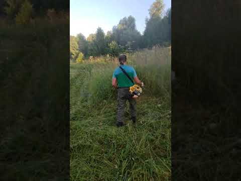 Видео: Подготовка лыжной трассы летом.