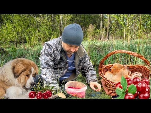 Видео: Насыщенная Жизнь Семьи в Белорусской деревне! Секрет Семейного Счастья. Трудимся и отдыхаем! 