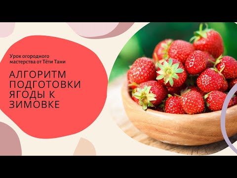 Видео: 603. Кормить, поить и снова лечить, а ещё и укрыть? Чем и зачем.